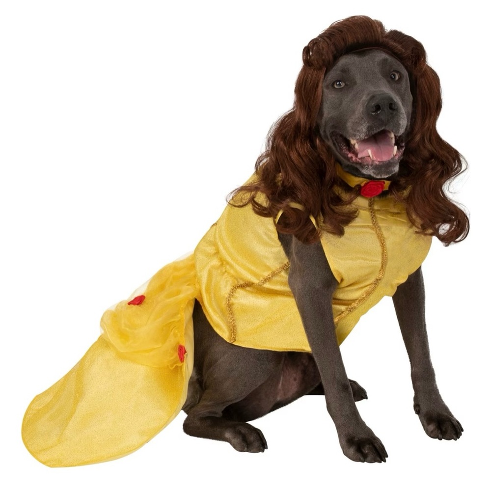 Beauty & the Beast Costume